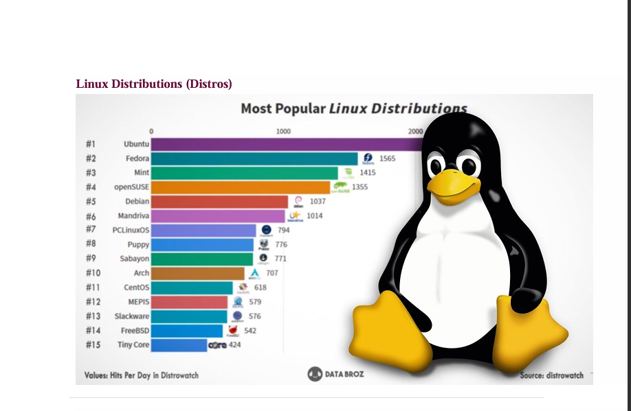 Linux Fundamentals for Beginners